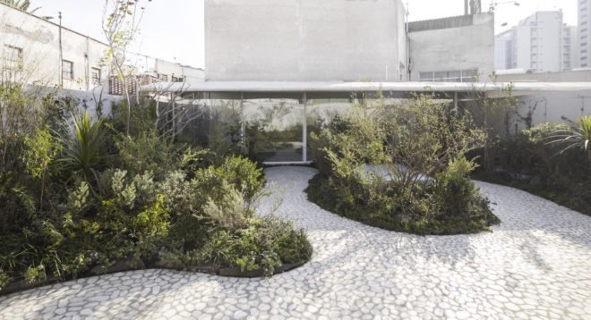 Case Verne by Zeller & Moye, native rooftop garden in Mexico City, Casa Verne Mexico City, renovated Art Deco townhouse, Mexico City townhouse renovation, cut marble pebble flooring, rooftop oasis in Mexico City