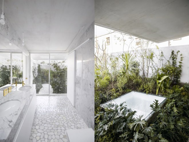 Case Verne by Zeller & Moye, native rooftop garden in Mexico City, Casa Verne Mexico City, renovated Art Deco townhouse, Mexico City townhouse renovation, cut marble pebble flooring, rooftop oasis in Mexico City
