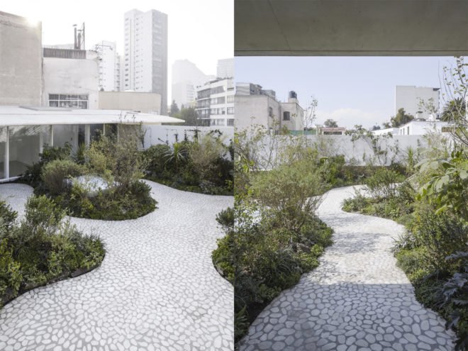 Case Verne by Zeller & Moye, native rooftop garden in Mexico City, Casa Verne Mexico City, renovated Art Deco townhouse, Mexico City townhouse renovation, cut marble pebble flooring, rooftop oasis in Mexico City