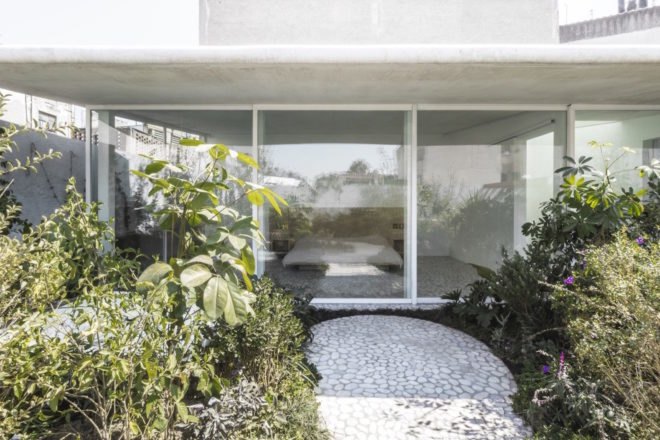 Case Verne by Zeller & Moye, native rooftop garden in Mexico City, Casa Verne Mexico City, renovated Art Deco townhouse, Mexico City townhouse renovation, cut marble pebble flooring, rooftop oasis in Mexico City