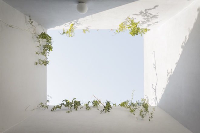 Case Verne by Zeller & Moye, native rooftop garden in Mexico City, Casa Verne Mexico City, renovated Art Deco townhouse, Mexico City townhouse renovation, cut marble pebble flooring, rooftop oasis in Mexico City