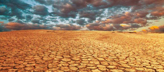 Drought, land, soil, cracked, cracked soil, dry, grass