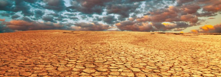 Drought, land, soil, cracked, cracked soil, dry, grass