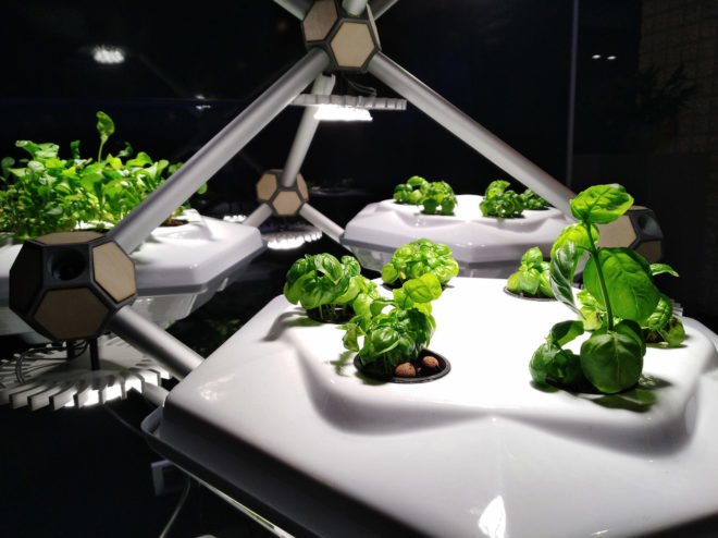 Hexagro Urban Farming, Hexagro, Living Farming Tree, indoor farm, indoor garden, vertical garden, plants, design