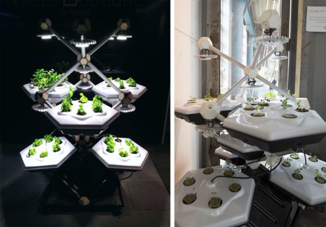 Hexagro Urban Farming, Hexagro, Living Farming Tree, indoor farm, indoor garden, vertical garden, plants
