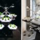 Hexagro Urban Farming, Hexagro, Living Farming Tree, indoor farm, indoor garden, vertical garden, plants