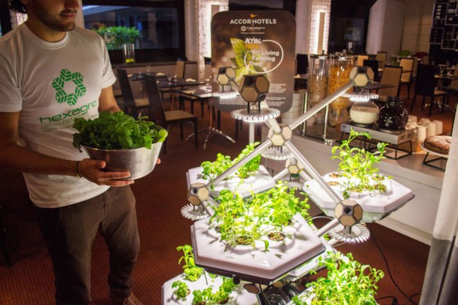 Hexagro Urban Farming, Hexagro, Living Farming Tree, indoor farm, indoor garden, vertical garden, plants, harvest