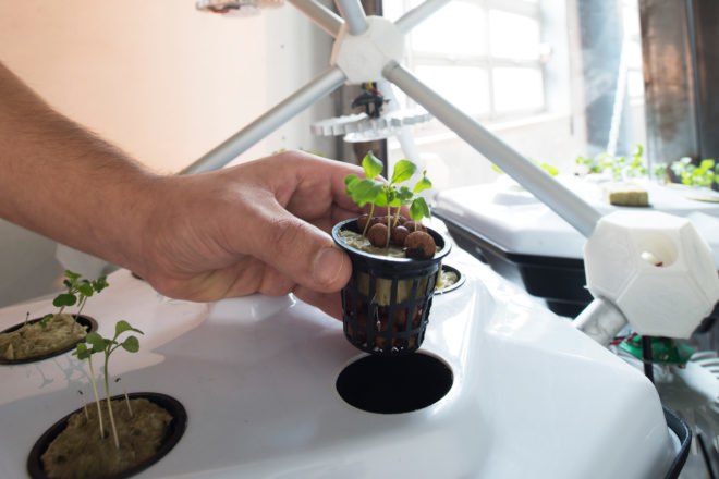 Hexagro Urban Farming, Hexagro, Living Farming Tree, indoor farm, indoor garden, vertical garden, plants