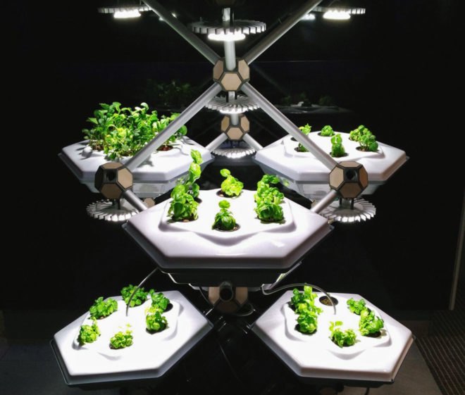 Hexagro Urban Farming, Hexagro, Living Farming Tree, indoor farm, indoor garden, vertical garden, plants, Accor Hotel