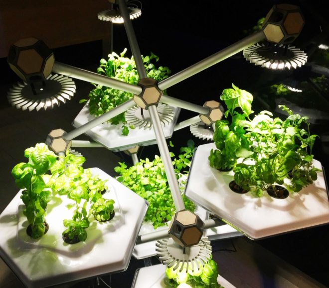 Hexagro Urban Farming, Hexagro, Living Farming Tree, indoor farm, indoor garden, vertical garden, plants