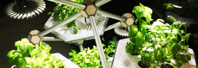Hexagro Urban Farming, Hexagro, Living Farming Tree, indoor farm, indoor garden, vertical garden, plants, design