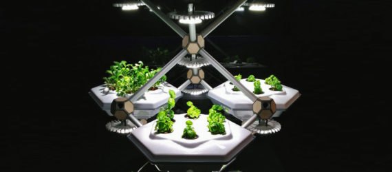 Hexagro-Living-Farming-Tree-Lead