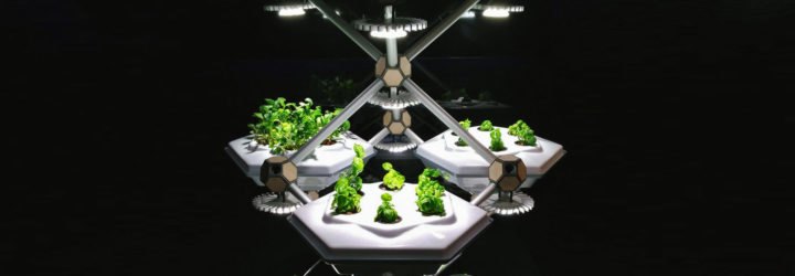 Hexagro-Living-Farming-Tree-Lead