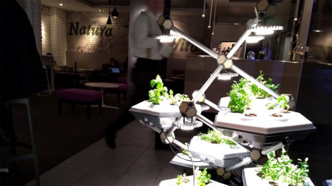 Hexagro Urban Farming, Hexagro, Living Farming Tree, indoor farm, indoor garden, vertical garden, plants