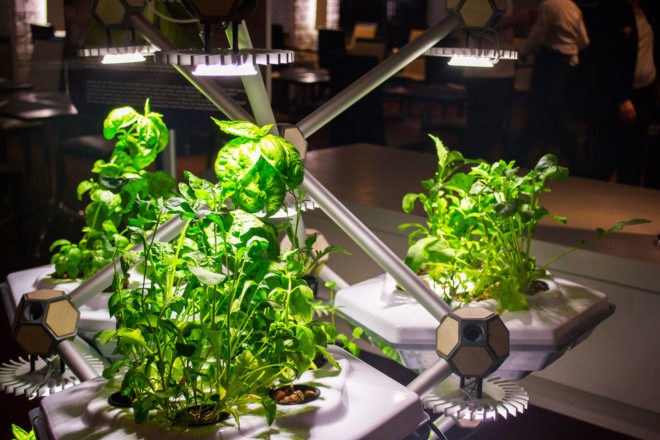 Hexagro Urban Farming, Hexagro, Living Farming Tree, indoor farm, indoor garden, vertical garden, plants, produce
