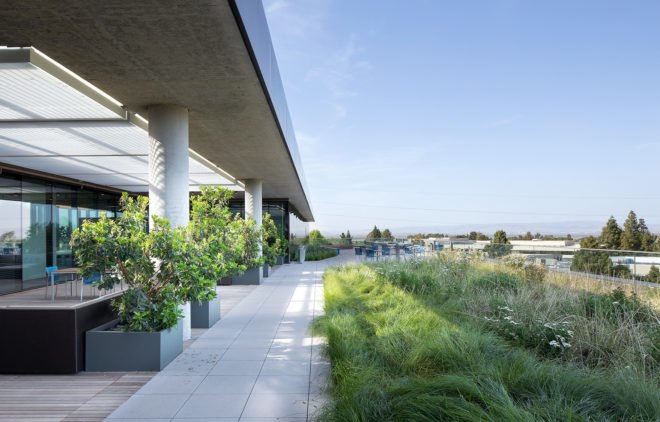 Marine Way Building, MWB, Intuit campus, Silicon Valley, Mountain View, green campuse, WRNS Studio, Clive Wilkinson Architects, LEED Platinum, office building, green roof, water consumption, green architecture, atrium