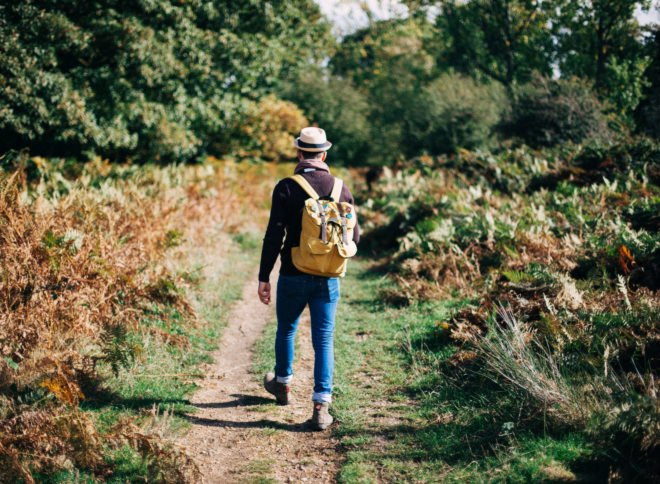 being in nature, nature walking, forest bathing benefits, Japanese forest bathing, health benefits of nature