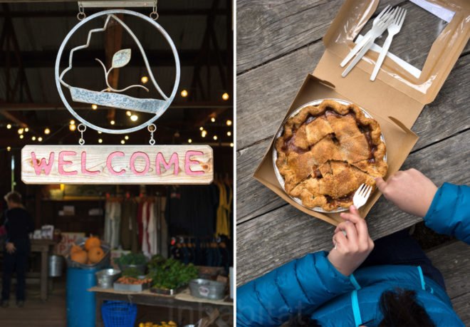 Pie Ranch, pie, food, sustainable food, local food, locavore, Pescadero, farm, farm stand, apple pie