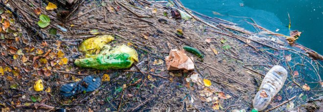 Pollution, water, oil patches, garbage, trash, plastic