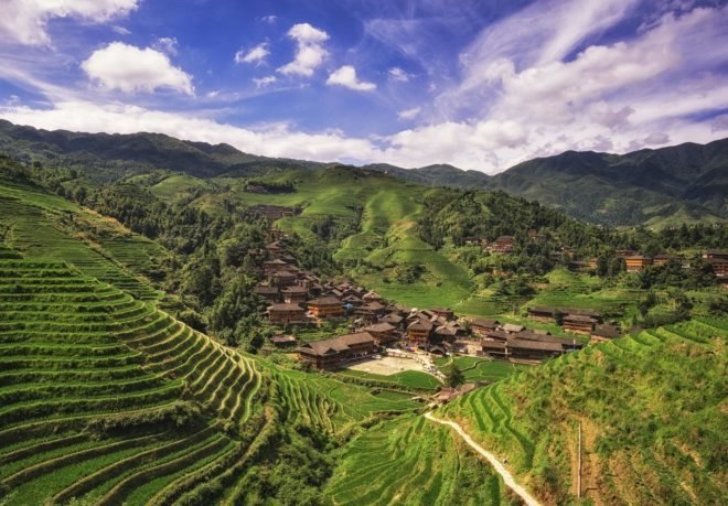 Farming, agriculture, rice field, rice, Vietnam, harvest, terrace