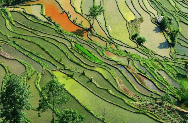 China, Yunnan province, southern China, farming, subsistence farming, agriculture