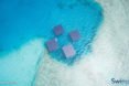 Swimsol, SolarSea, floating solar, solar power, solar energy, Maldives, renewable energy