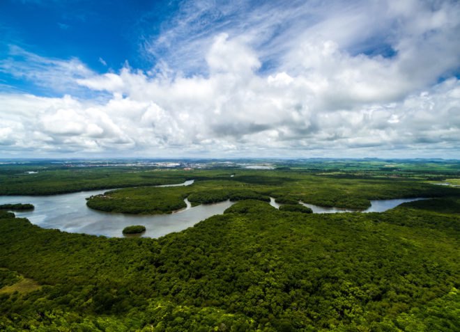 University of East Anglia, James Cook University, Center for Tropical Environmental and Sustainable Science, World Wildlife Federation, Amazon forest, plant diversity, biodiversity, animal extinction, climate change, global warming, temperature rise, the impact of temperature rise, 2 degree temperature increase, 3. 5 temperature increase, 4.5 temperature increase, what will happen if emissions don't decrease, what happens if emissions continue to rise, what happens if the climate changes