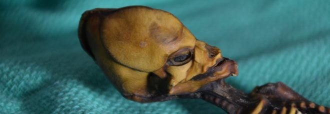 Ata, Ata skeleton, Ata mummy, Ata remains