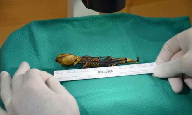 Ata, Ata skeleton, Ata mummy, Ata remains