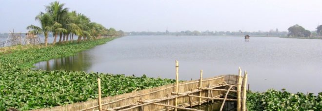 Bheries, Bheri, East Kolkata Wetlands