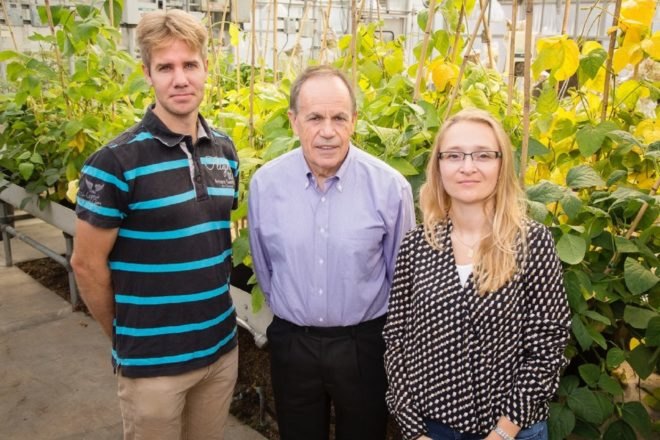 University of Illinois, University of Illinois scientists, scientists, plant scientists