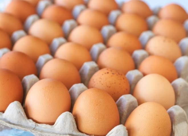 eggs, organic eggs, tray of eggs