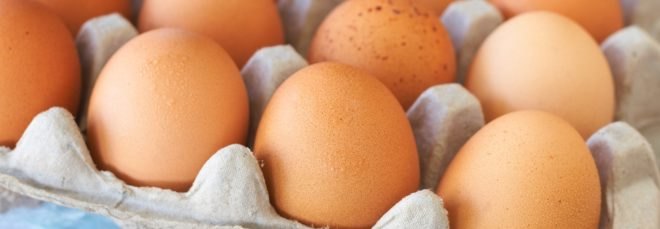 eggs, organic eggs, tray of eggs