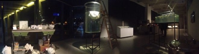 Fatberg, Fatberg on display, Fatberg exhibit, Fatberg art