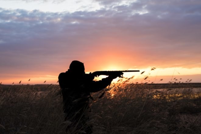 hunter, hunting, hunt