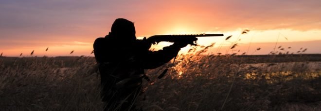 hunter, hunting, hunt