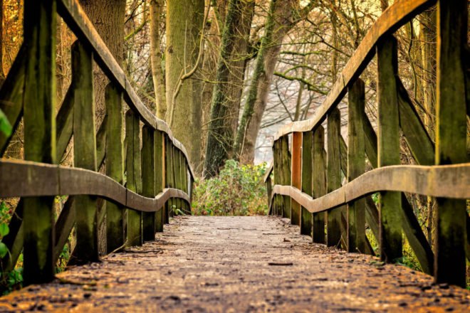 benefits of forest bathing, walking in nature, mental health benefits of forest bathing, health benefits of forest bathing, where to forest bathe, Japanese forest bathing