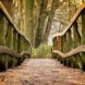 benefits of forest bathing, walking in nature, mental health benefits of forest bathing, health benefits of forest bathing, where to forest bathe, Japanese forest bathing