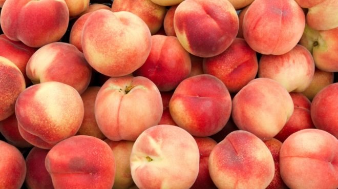 peach, peaches, Plenty peaches