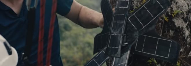 Guardians, Rainforest Connection, Guardian devices, rainforest, rainforest canopy