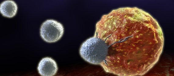 t cells, t-cells, cancer