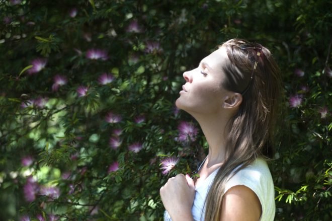 benefits of forest bathing, walking in nature, mental health benefits of forest bathing, health benefits of forest bathing, where to forest bathe, Japanese forest bathing
