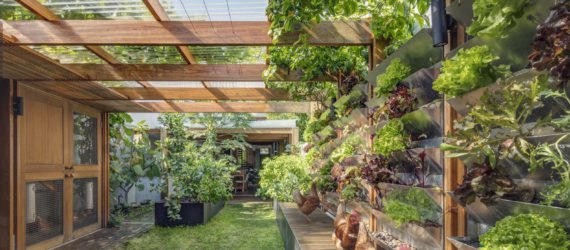 Aquas Perma Solar Firma, CplusC Architectural Workshop, green renovation, carbon-positive house, vertical gardens, solar power, rainwater collection, courtyard, aquaponics, vegetable garden, urban farming, green architecture, Sydney