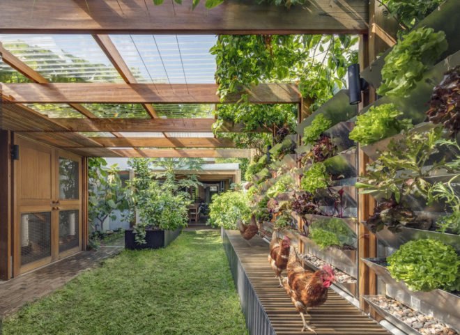 Aquas Perma Solar Firma, CplusC Architectural Workshop, green renovation, carbon-positive house, vertical gardens, solar power, rainwater collection, courtyard, aquaponics, vegetable garden, urban farming, green architecture, Sydney