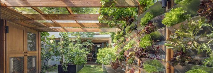 Aquas Perma Solar Firma, CplusC Architectural Workshop, green renovation, carbon-positive house, vertical gardens, solar power, rainwater collection, courtyard, aquaponics, vegetable garden, urban farming, green architecture, Sydney
