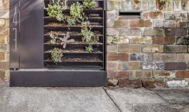 Aquas Perma Solar Firma, CplusC Architectural Workshop, green renovation, carbon-positive house, vertical gardens, solar power, rainwater collection, courtyard, aquaponics, vegetable garden, urban farming, green architecture, Sydney