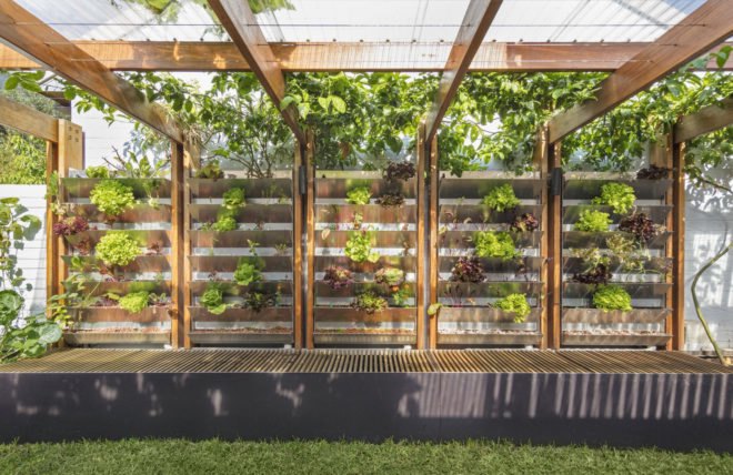 Aquas Perma Solar Firma, CplusC Architectural Workshop, green renovation, carbon-positive house, vertical gardens, solar power, rainwater collection, courtyard, aquaponics, vegetable garden, urban farming, green architecture, Sydney