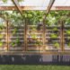 Aquas Perma Solar Firma, CplusC Architectural Workshop, green renovation, carbon-positive house, vertical gardens, solar power, rainwater collection, courtyard, aquaponics, vegetable garden, urban farming, green architecture, Sydney