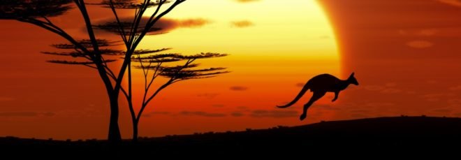Australia, sun, sunset, kangaroo, trees, landscape