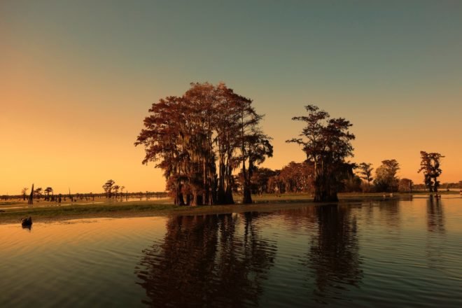 bayou, marsh, Louisiana